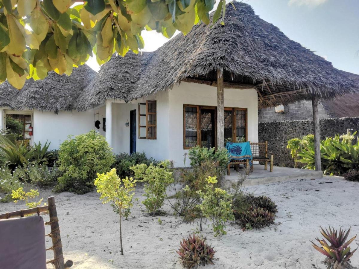 Driftwood Beach Lodge Jambiani  Eksteriør bilde