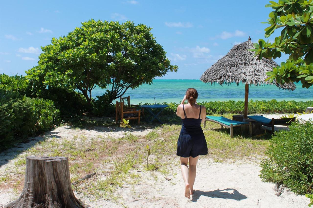 Driftwood Beach Lodge Jambiani  Eksteriør bilde