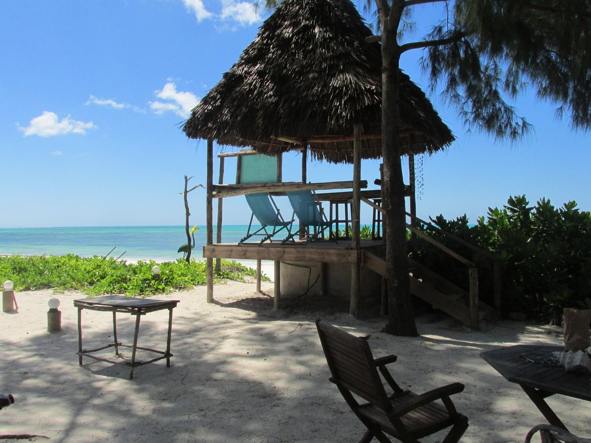 Driftwood Beach Lodge Jambiani  Eksteriør bilde