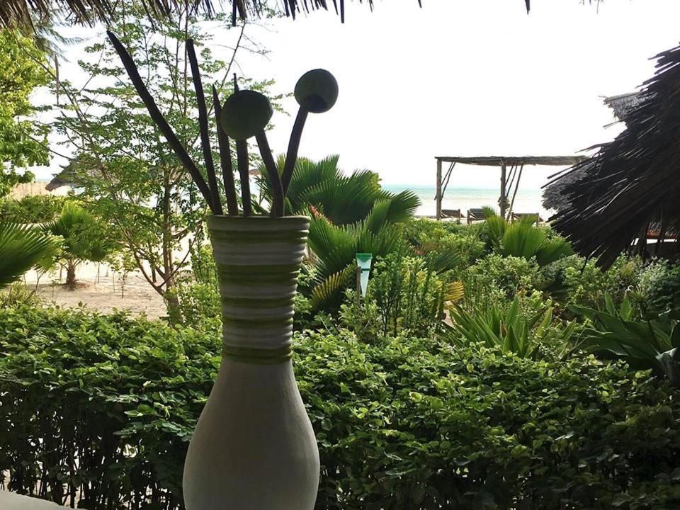 Driftwood Beach Lodge Jambiani  Eksteriør bilde