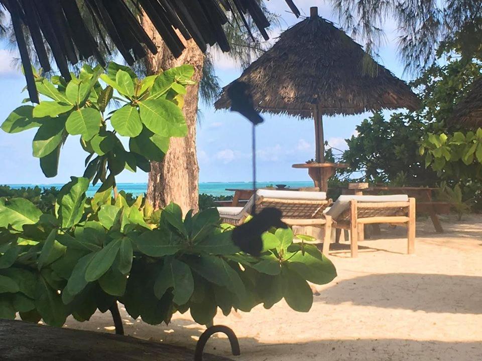 Driftwood Beach Lodge Jambiani  Eksteriør bilde