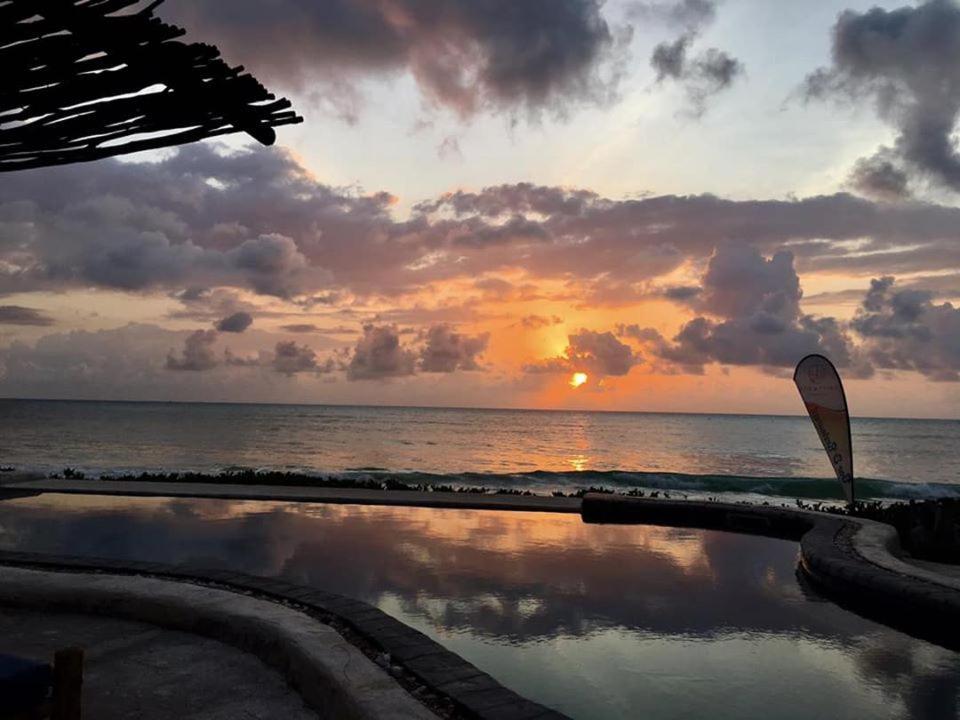 Driftwood Beach Lodge Jambiani  Eksteriør bilde