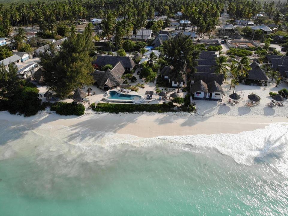 Driftwood Beach Lodge Jambiani  Eksteriør bilde